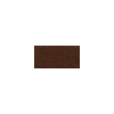 Bazzill Mono Cardstock 12"X12"-Chocolate / Canvas
