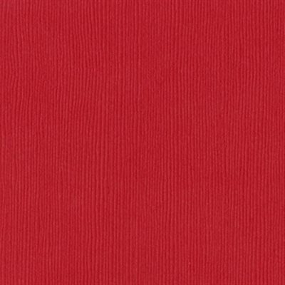 Bazzill Fourz Cardstock 12"X12" Berrylicious / Grass Cloth