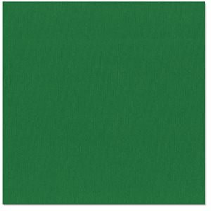 Bazzill Mono Cardstock 12"X12" Green (Canvas)
