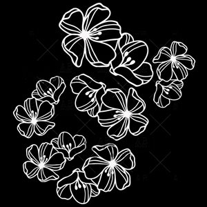 AB studio Die-cuts ID-138 white flowers 6 paper flowers